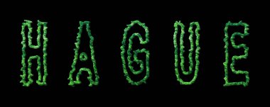 Lahey Ormanı ve Lahey Şehir Örtüsü Siyah Üzerine