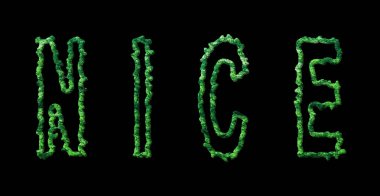 Güzel Orman, Güzel Şehir Siyah Örtüsü