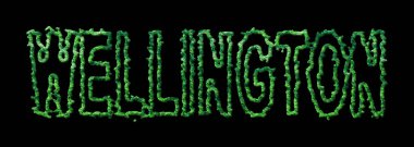 Wellington Ormanı, Wellington Şehir Tepesi Siyah