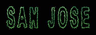 San Jose Ormanı, San Jose Şehir Tepesi Siyah