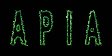 Apia Ormanı, Apia Şehir Tepesi Siyah