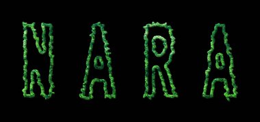 Nara Ormanı, Nara Şehir Tepesi Siyah