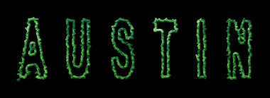 Austin Ormanı, Austin Şehir Tepesi Siyah