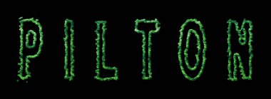 Pilton Ormanı, Pilton Şehir Tepesi