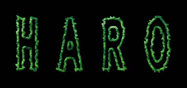 Haro Ormanı, Haro Şehir Tepesi Siyah Üzerinde