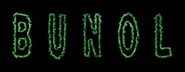 Bunol Ormanı, Bunol Kentsel Tepe Örtüsü Siyah