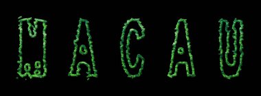 Macau Ormanı, Macau Şehir Tepesi Siyah