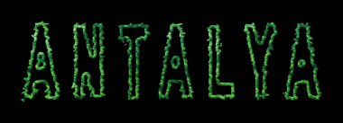 Antalya Ormanı, Antalya Şehir Kubbesi