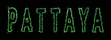 Pattaya Ormanı, Pattaya Şehir Kubbesi