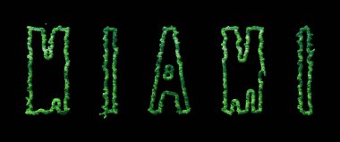 Miami Ormanı, Miami Şehir Tepesi Siyah