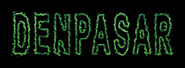 Denpasar Ormanı, Denpasar Şehir Kubbesi