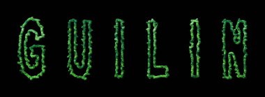 Guilin Ormanı, Guilin Şehir Ormanı Kara Kubbe