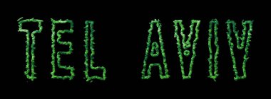 Tel Aviv Ormanı, Tel Aviv Şehir Tepesi