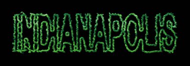 Indianapolis Ormanı, Indianapolis Siyah Şehir Tepesi