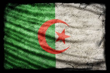 Cezayir Bayrağı, Grunge Doku Arkaplanı