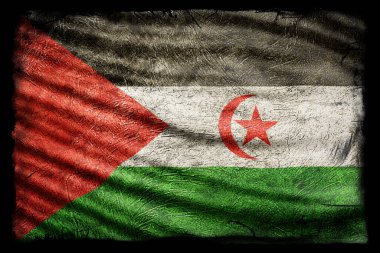 Sahra Arap Demokratik Cumhuriyeti Bayrağı, Grunge Doku Arkaplanı