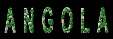 Angola Ormanlaşması ve İklim Mesajı, Sürdürülebilir Yeşil Tipografi, Yeşil Gündem