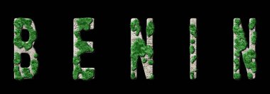 Benin Ormanlaşması ve İklim Mesajı, Sürdürülebilir Yeşil Tipografi, Yeşil Gündem