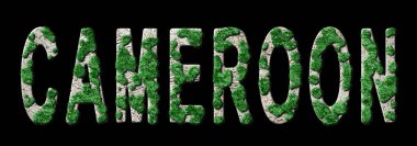 Kamerun Yeniden Ormanlandırma ve İklim Mesajı, Sürdürülebilir Yeşil Tipografi, Yeşil Gündem