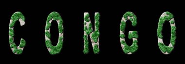 Kongo Yeniden Ormanlama ve İklim Mesajı, Sürdürülebilir Yeşil Tipografi, Yeşil Gündem