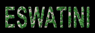 Eswatini Yeniden Ormanlama ve İklim Mesajı, Sürdürülebilir Yeşil Tipografi, Yeşil Gündem