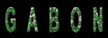 Gabon Ormanlaşması ve İklim Mesajı, Sürdürülebilir Yeşil Tipografi, Yeşil Gündem