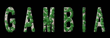 Gambiya Ormanını Değiştirme ve İklim Mesajı, Sürdürülebilir Yeşil Tipografi, Yeşil Gündem