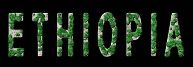 Etiyopya Ormanını Yenileme ve İklim Mesajı, Sürdürülebilir Yeşil Tipografi, Yeşil Gündem