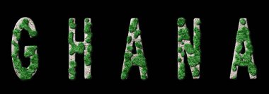 Gana Ormanlaşması ve İklim Mesajı, Sürdürülebilir Yeşil Tipografi, Yeşil Gündem