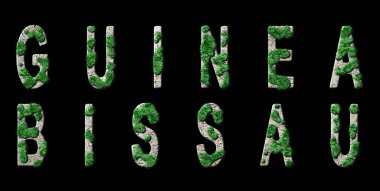 Gine Bissau Ormanlarını Yenileme ve İklim Mesajı, Sürdürülebilir Yeşil Tipografi, Yeşil Gündem