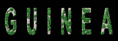 Gine Yeniden Ormanlama ve İklim Mesajı, Sürdürülebilir Yeşil Tipografi, Yeşil Gündem