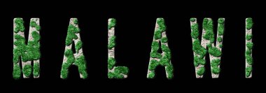 Malawi Ormanlaşması ve İklim Mesajı, Sürdürülebilir Yeşil Tipografi, Yeşil Gündem