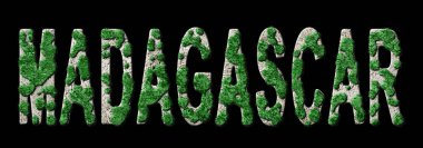 Madagaskar Ormanlaşması ve İklim Mesajı, Sürdürülebilir Yeşil Tipografi, Yeşil Gündem