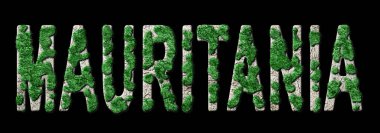 Moritanya Ormanını Yenileme ve İklim Mesajı, Sürdürülebilir Yeşil Tipografi, Yeşil Gündem