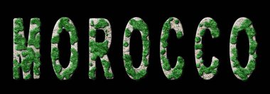 Fas Ormanlarının Yeniden Canlandırılması ve İklim Mesajı, Sürdürülebilir Yeşil Tipografi, Yeşil Gündem