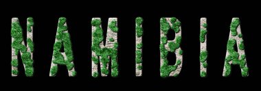 Namibya Ormanını Yenileme ve İklim Mesajı, Sürdürülebilir Yeşil Tipografi, Yeşil Gündem