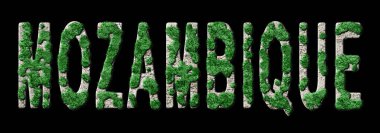 Mozambik Yeniden Ormanlama ve İklim Mesajı, Sürdürülebilir Yeşil Tipografi, Yeşil Gündem