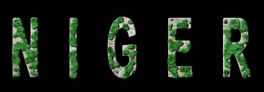 Nijer Ormanlaşması ve İklim Mesajı, Sürdürülebilir Yeşil Tipografi, Yeşil Gündem