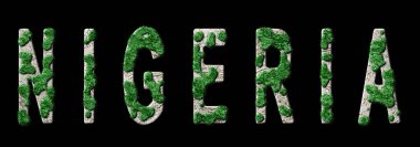 Nijerya Yeniden Ormanlama ve İklim Mesajı, Sürdürülebilir Yeşil Tipografi, Yeşil Gündem