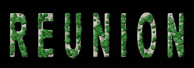 Yeniden Birleştirme ve İklim Mesajı, Sürdürülebilir Yeşil Tipografi, Yeşil Gündem