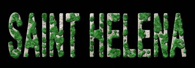 Saint Helena Ormancılık ve İklim Mesajı, Sürdürülebilir Yeşil Tipografi, Yeşil Gündem