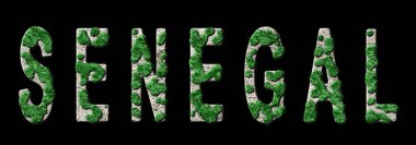 Senegal Ormanlaşması ve İklim Mesajı, Sürdürülebilir Yeşil Tipografi, Yeşil Gündem