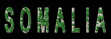 Somali Yeniden Ormanlama ve İklim Mesajı, Sürdürülebilir Yeşil Tipografi, Yeşil Gündem