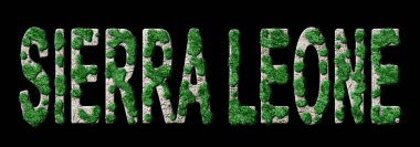 Sierra Leone Ormanlaşması ve İklim Mesajı, Sürdürülebilir Yeşil Tipografi, Yeşil Gündem