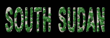 Güney Sudan Ormanlaşması ve İklim Mesajı, Sürdürülebilir Yeşil Tipografi, Yeşil Gündem