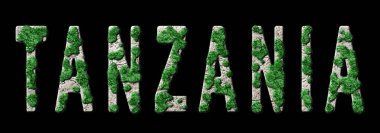 Tanzanya Ormanlaşması ve İklim Mesajı, Sürdürülebilir Yeşil Tipografi, Yeşil Gündem