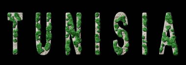 Tunus Yeniden Ormanlandırma ve İklim Mesajı, Sürdürülebilir Yeşil Tipografi, Yeşil Gündem