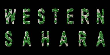 Batı Sahra Ormanlaşması ve İklim Mesajı, Sürdürülebilir Yeşil Tipografi, Yeşil Gündem