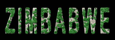 Zimbabwe Ormanını Yenileme ve İklim Mesajı, Sürdürülebilir Yeşil Tipografi, Yeşil Gündem