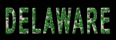 Delaware Ormanını Değiştirme ve İklim Mesajı, Sürdürülebilir Yeşil Tipografi, Yeşil Gündem